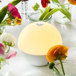 Alba LED Bordlampe