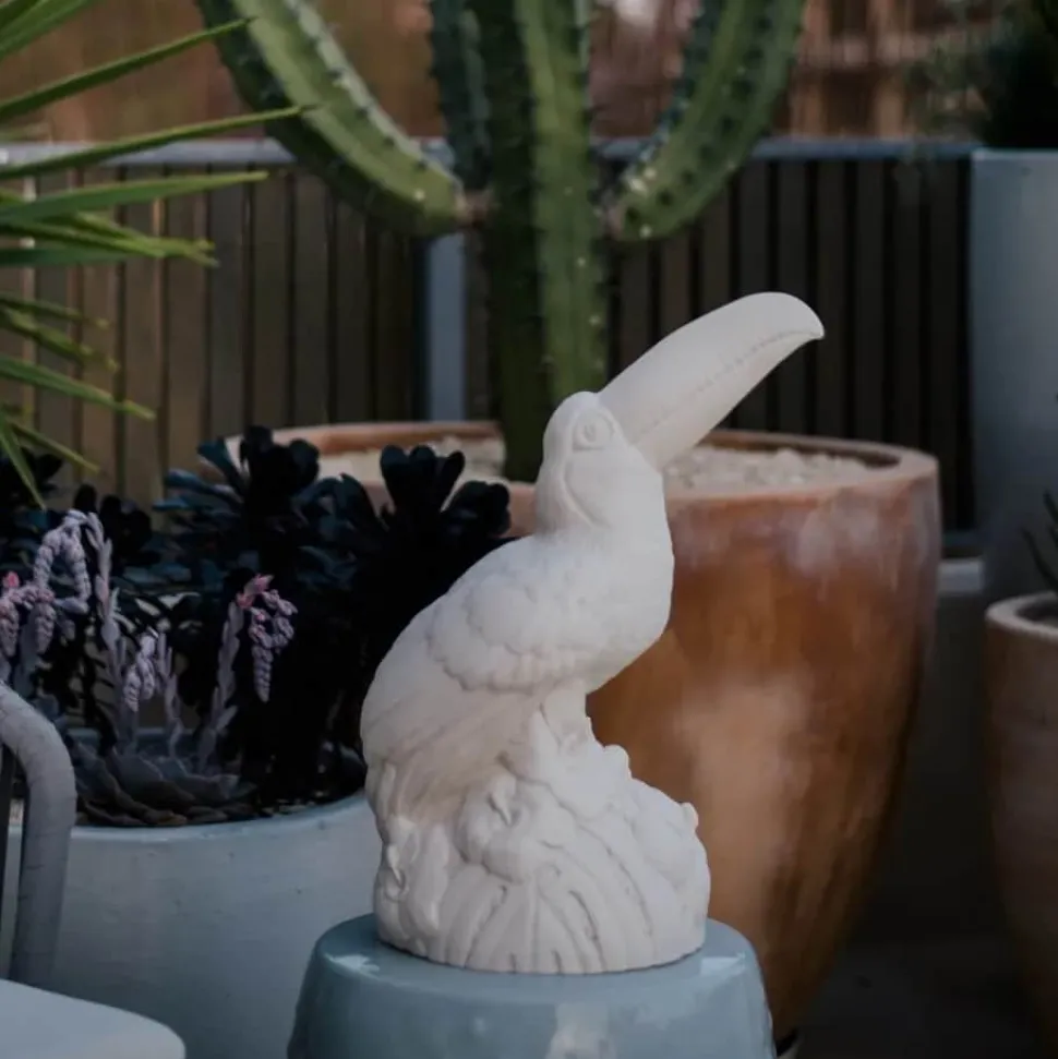 Eden Toucan Lampe