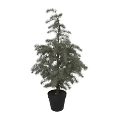 Juletræ