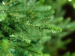 Norway Spruce Kunstigt Juletræ