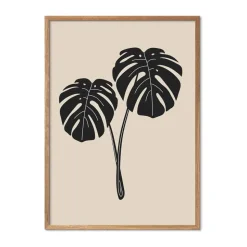 Plakat - Monstera Deliciosa