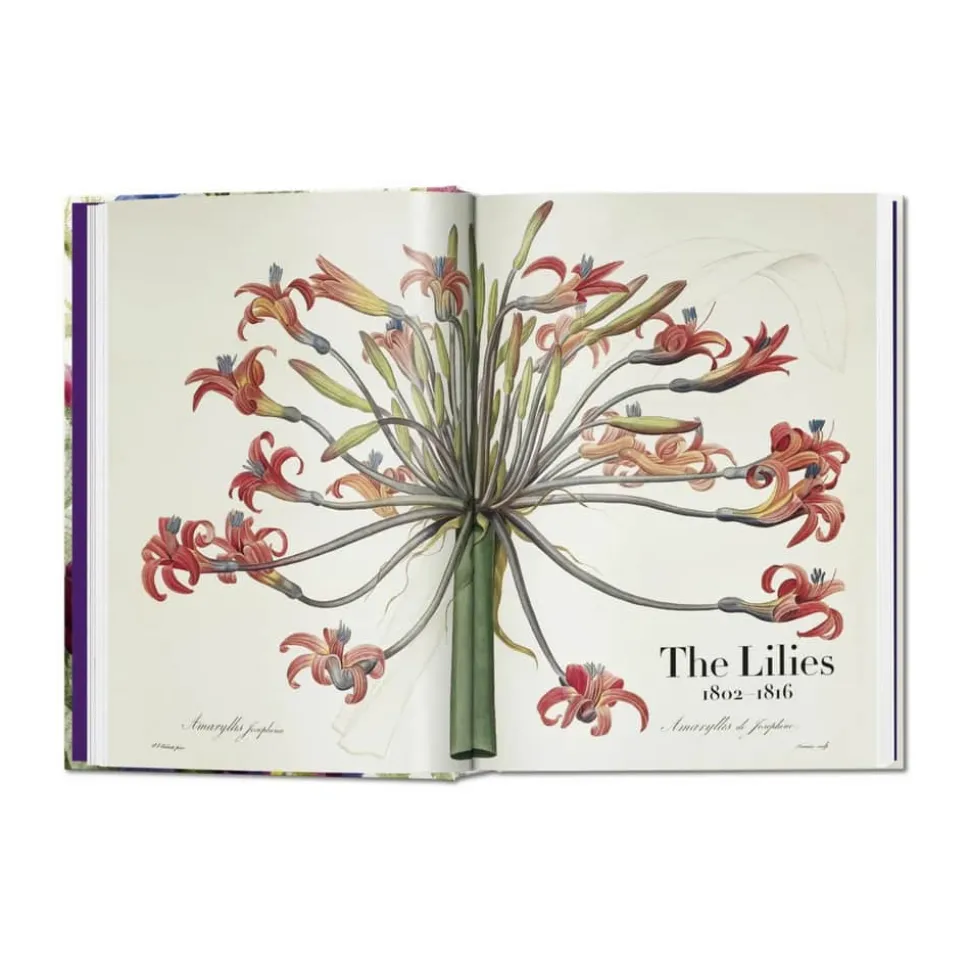 Redouté. Book of Flowers – 40th Anniversary Edition - Af H. Walter Lack
