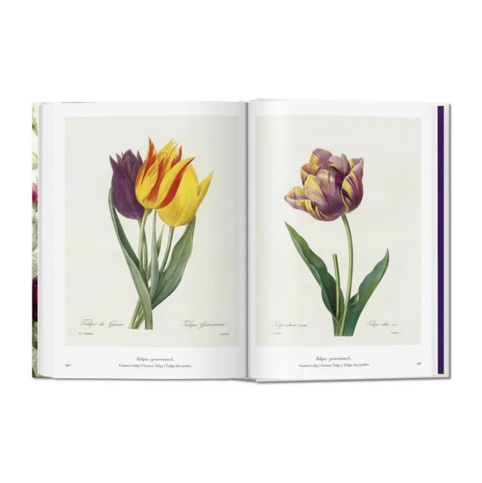 Redouté. Book of Flowers – 40th Anniversary Edition - Af H. Walter Lack
