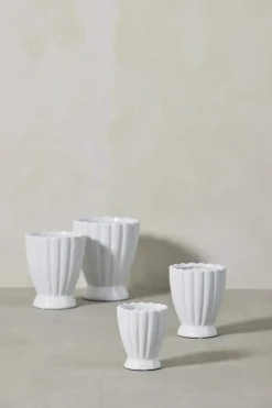 Shenella Urtepotteskjuler