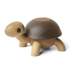 Skildpaddeunge Speedy